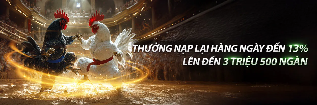 Đá Gà Đến Chết kịch tính tại Zalv Link